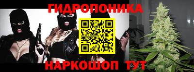 ПСИЛОЦИБИНОВЫЕ ГРИБЫ Гусев