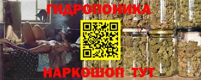 PSILOCYBIN Гусиноозёрск