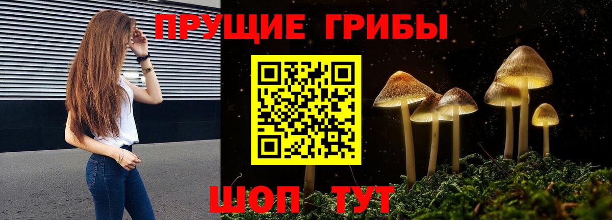Котовск  Галлюциногенные грибы MAGIC MUSHROOMS  Галлюциногенные грибы MAGIC MUSHROOMS  продажа наркотиков  Вход с VPN 